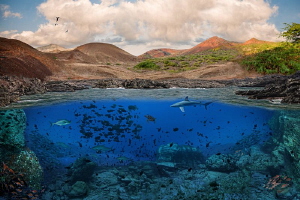 as the oceans should be: Ascension Island by Paul Colley 